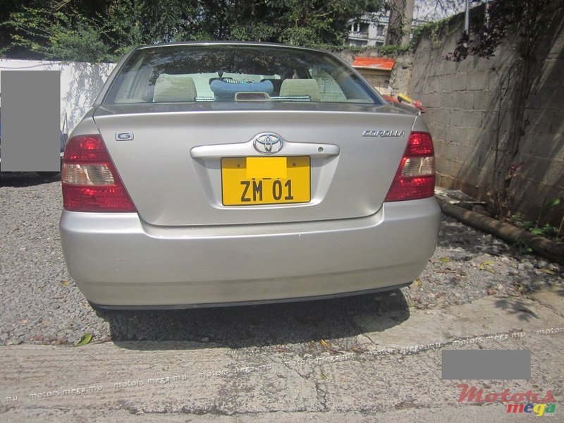 2001' Toyota Corolla NZE photo #7