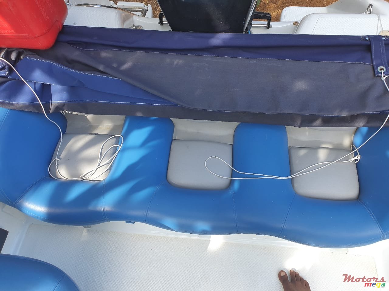 2013' Cobra photo #7