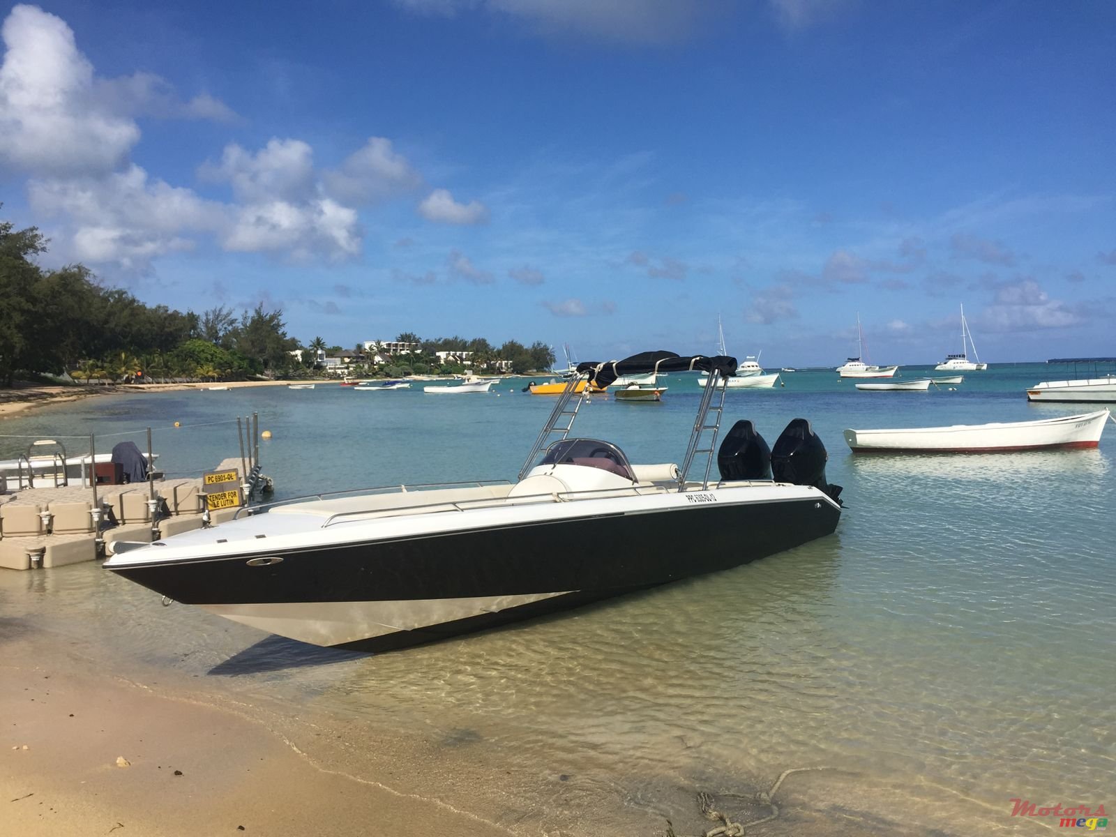 2017' Cobra photo #1