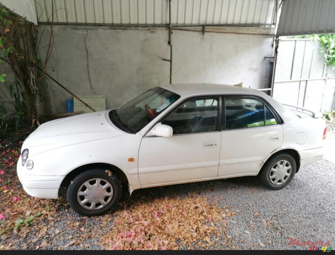 1999' Toyota Corolla Manual photo #2