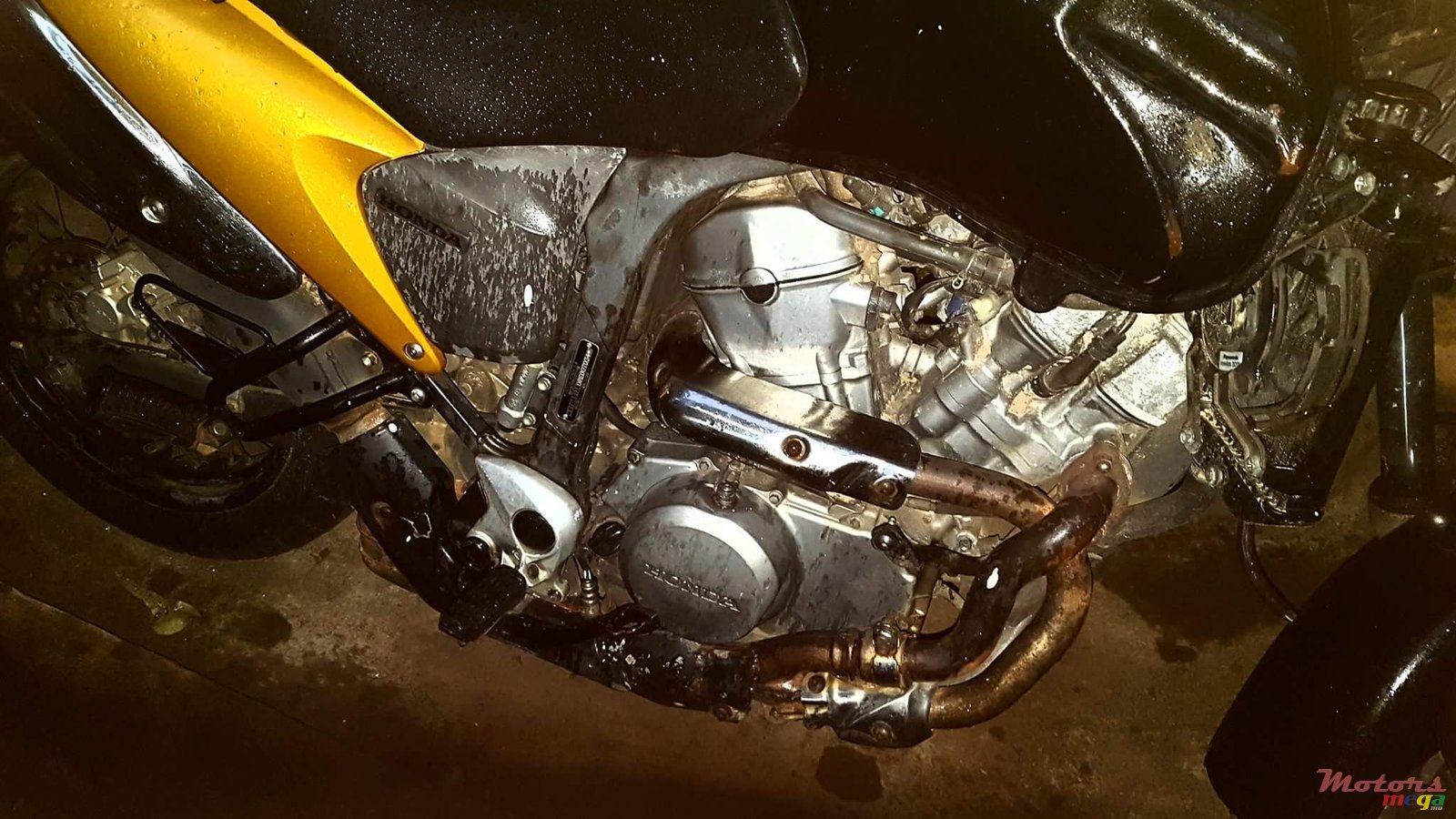 2009' Honda photo #1