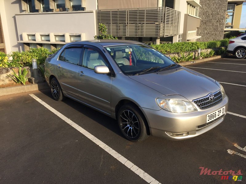 2001' Toyota Corolla NZE photo #2