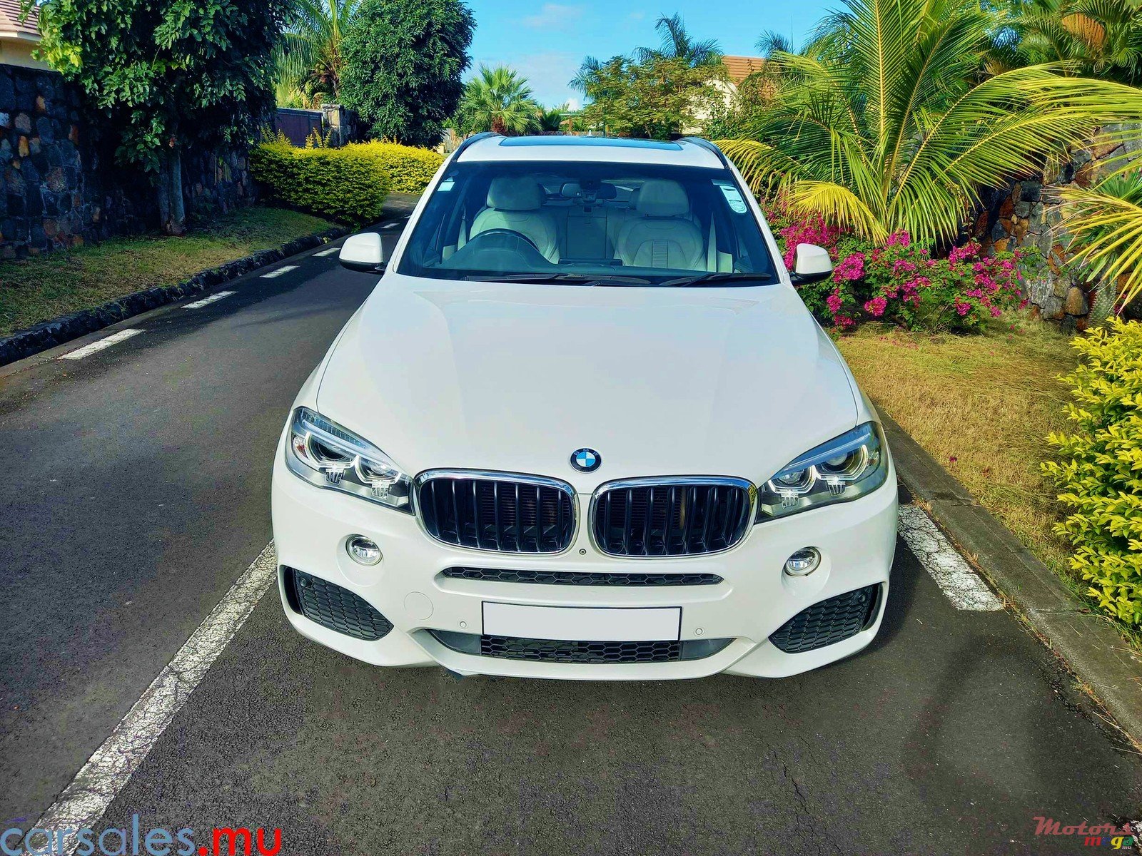 2014' BMW X5 M Sport Line photo #2