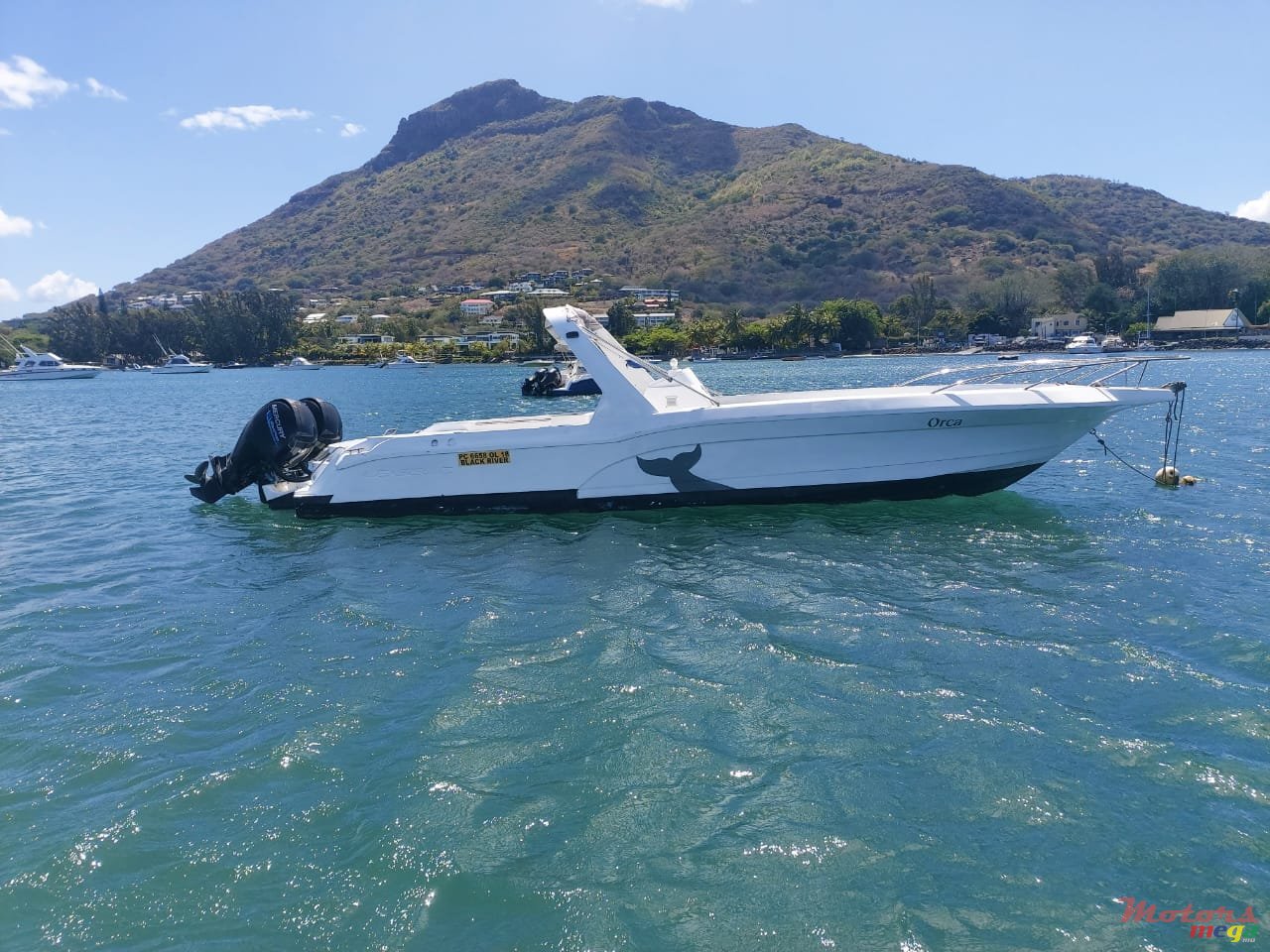 2009' Legend photo #2