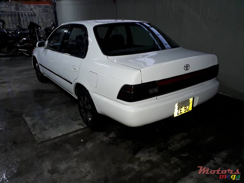 1992' Toyota Corolla EE101 photo #5