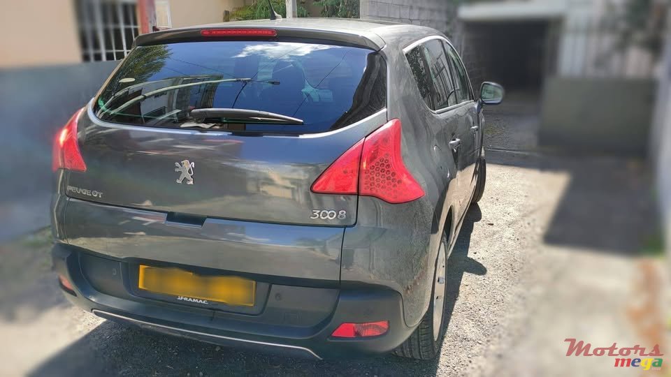 2013' Peugeot 3008 photo #5