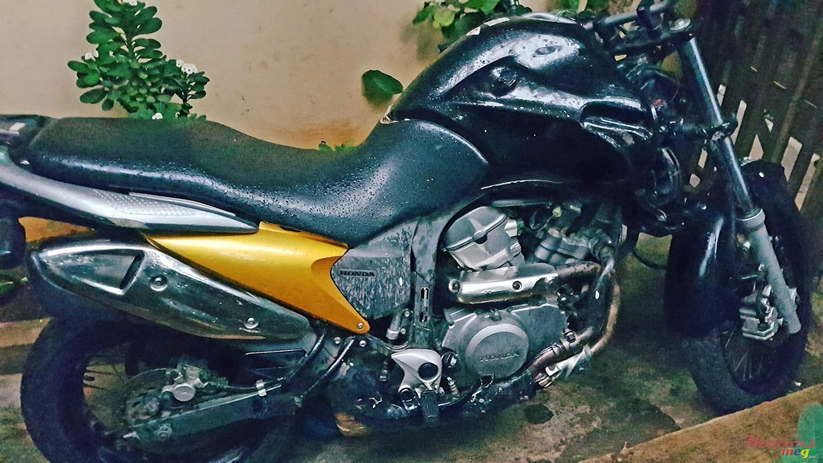 2009' Honda photo #4