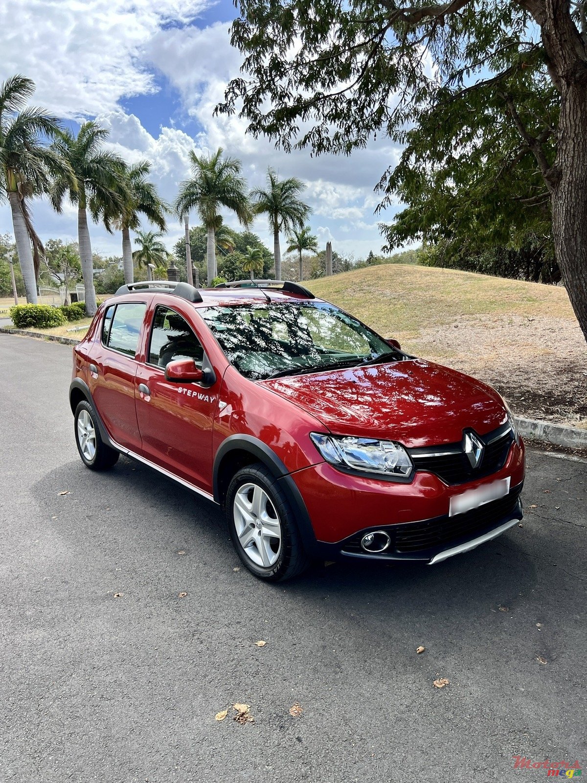 2014' Renault Sandero StepWay photo #1
