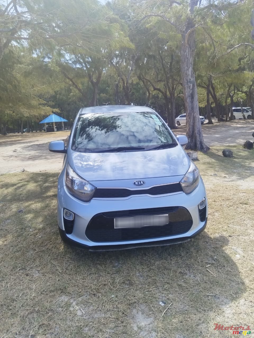 2019' Kia Picanto photo #2