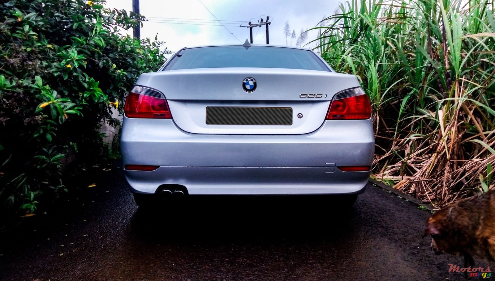 2004' BMW 5 Series photo #1