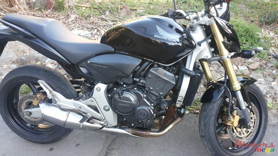 2008' Honda Hornet photo #2