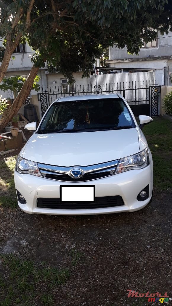 2013' Toyota Axio photo #4