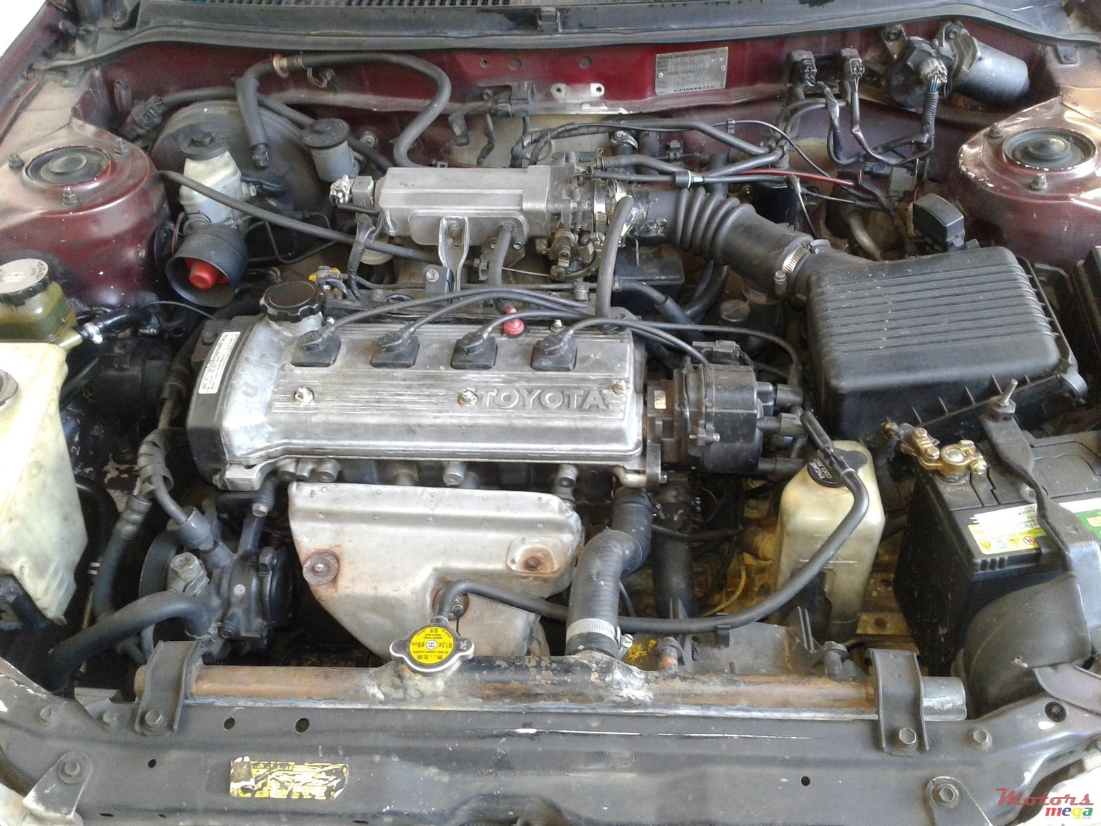 1992' Toyota Corolla none photo #5