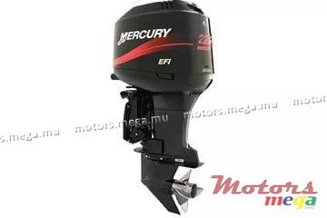 2006' Mercury EFI photo #1