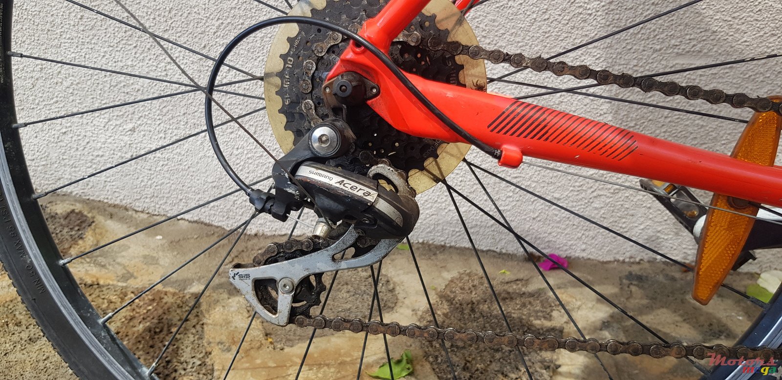 2019' Cannondale photo #6