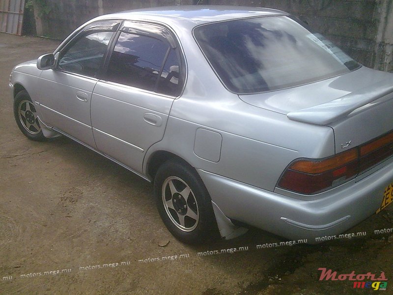 1992' Toyota Corolla EE101 photo #2