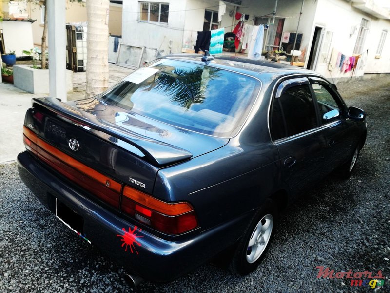 1992' Toyota Corolla GL photo #4