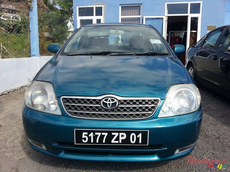 2001' Toyota Corolla NZE photo #1