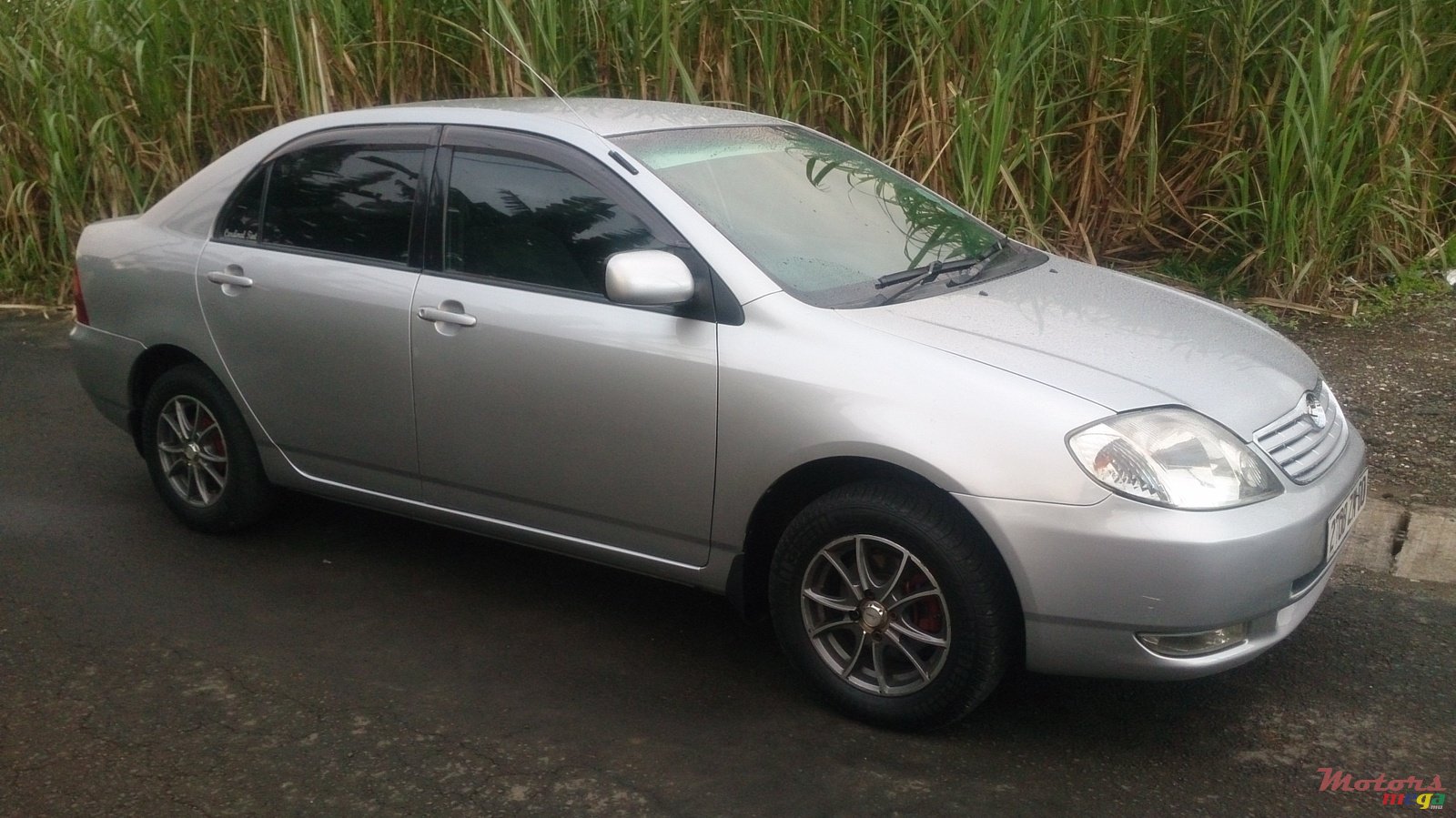 2000' Toyota Corolla NZE  photo #1