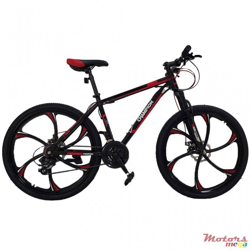 2023' Champ photo #1