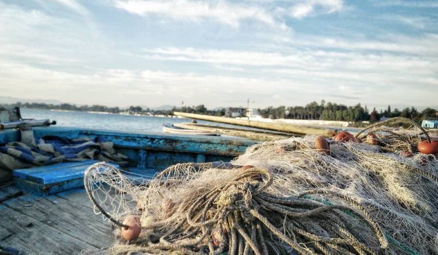 Pêche illégale présumée: sept pêcheurs échappent au filet de la police