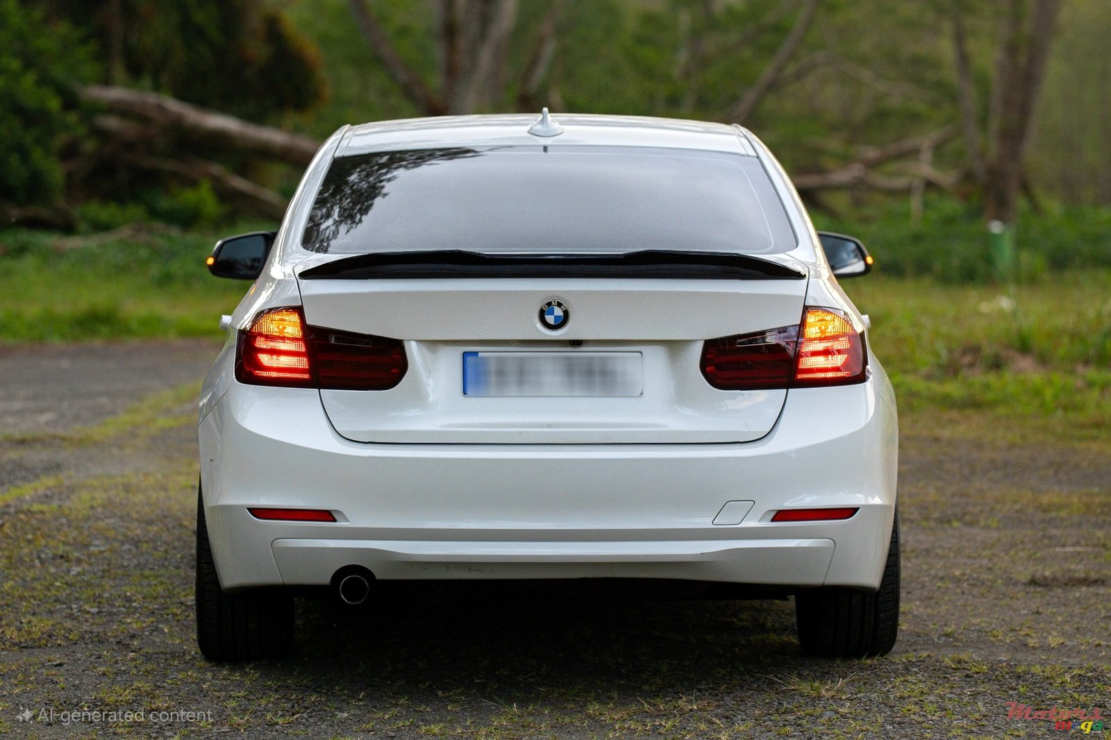 2013' BMW 316 photo #7