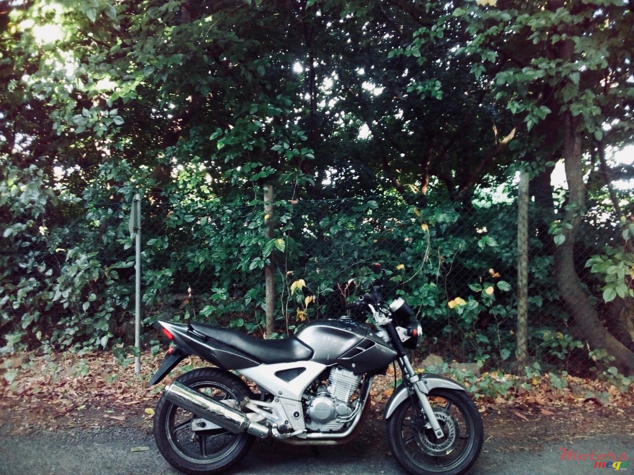 2010' Honda photo #2