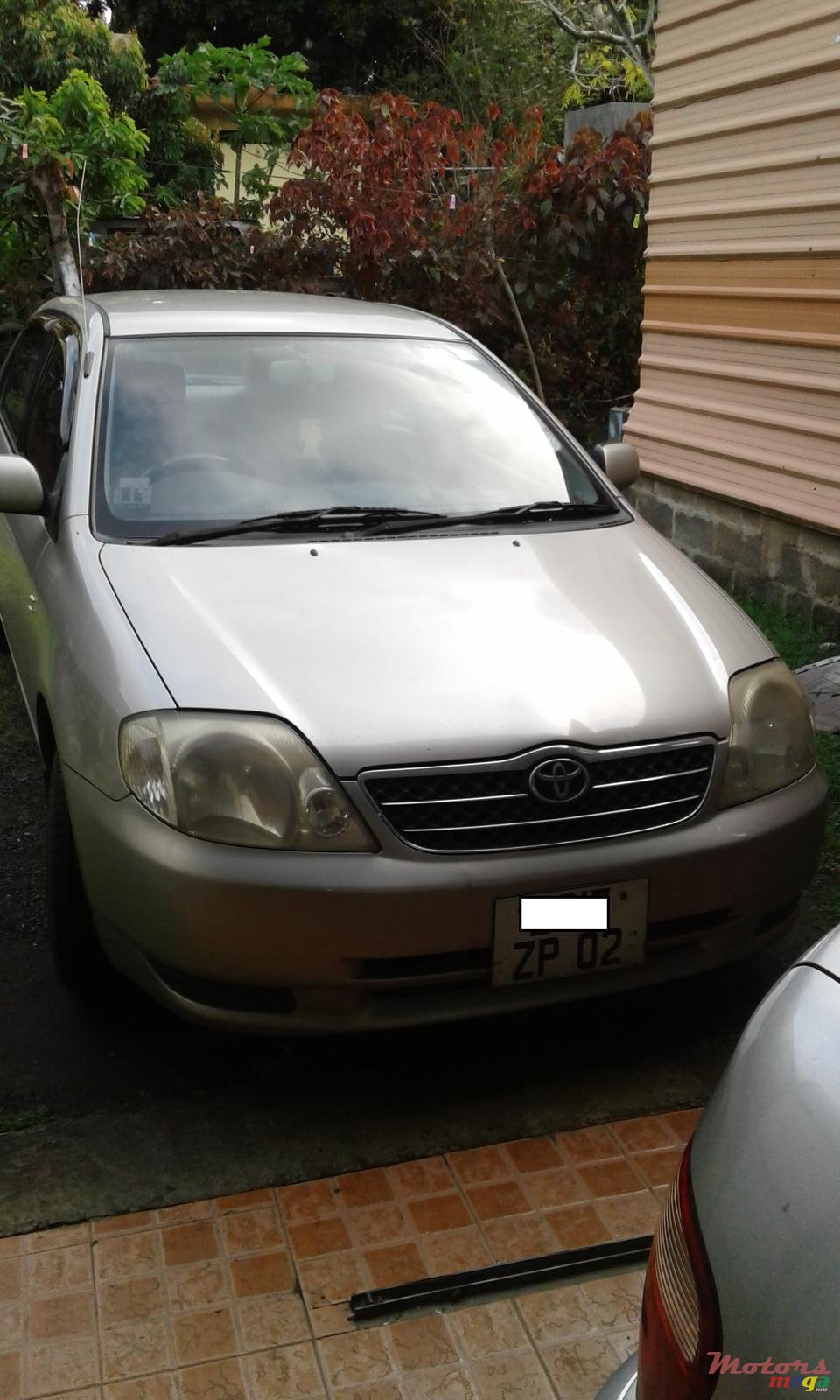 2002' Toyota Corolla photo #4