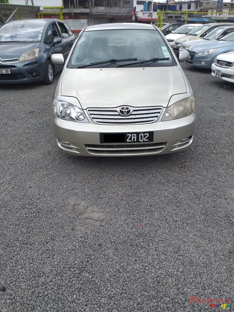 2002' Toyota Corolla NZE photo #3