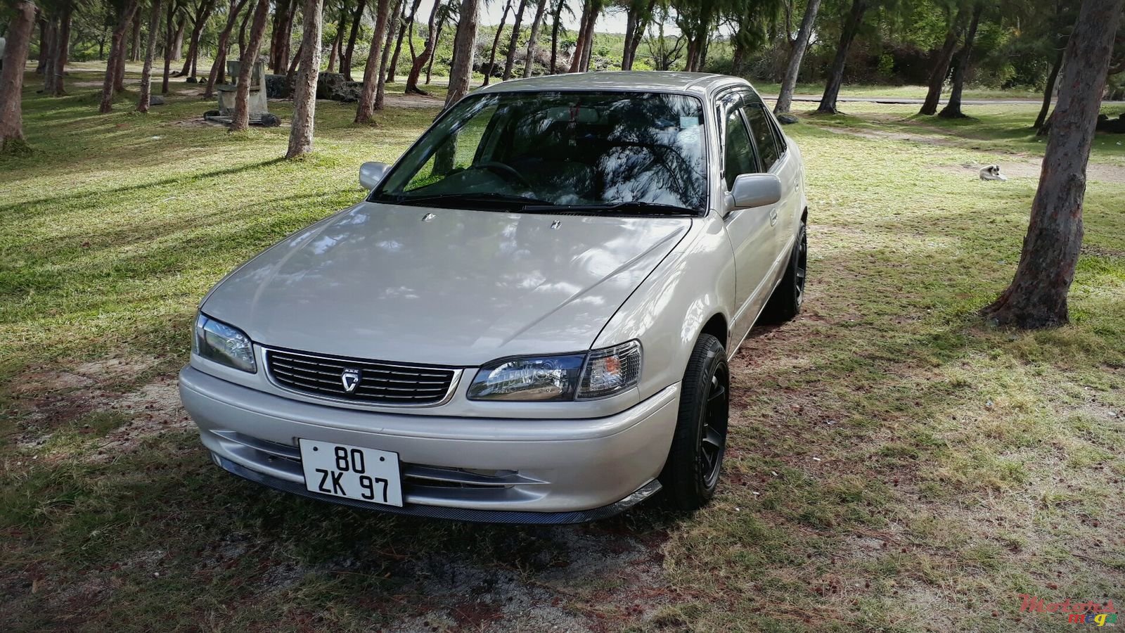 1997' Toyota Corolla photo #1