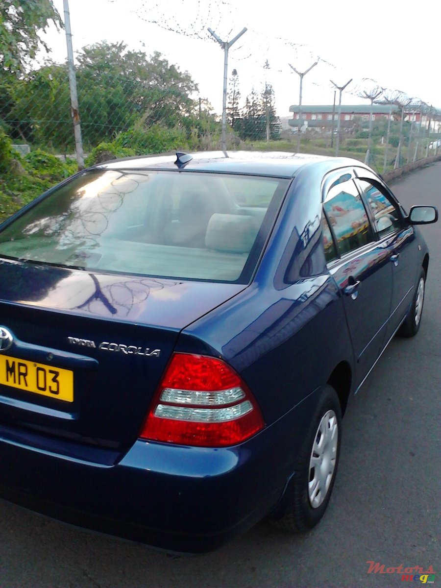 2003' Toyota Corolla photo #1