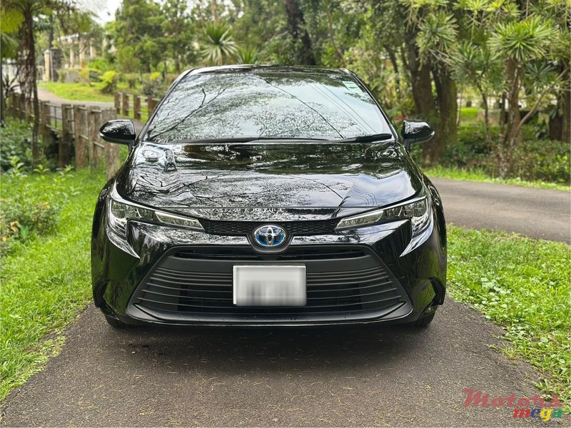 2023' Toyota Corolla photo #1