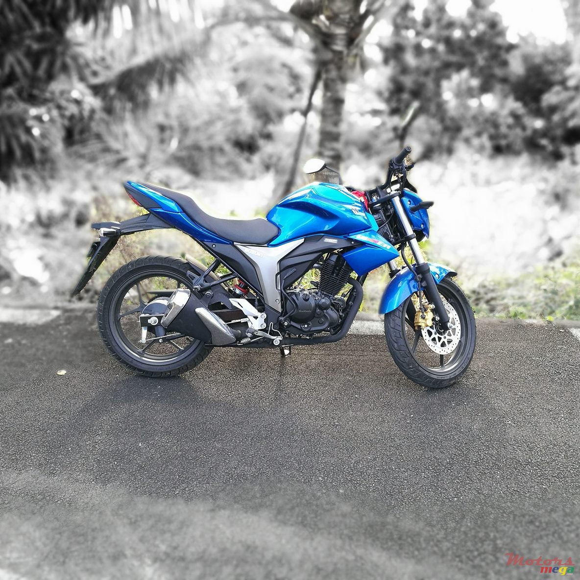 2015' Suzuki Original photo #1