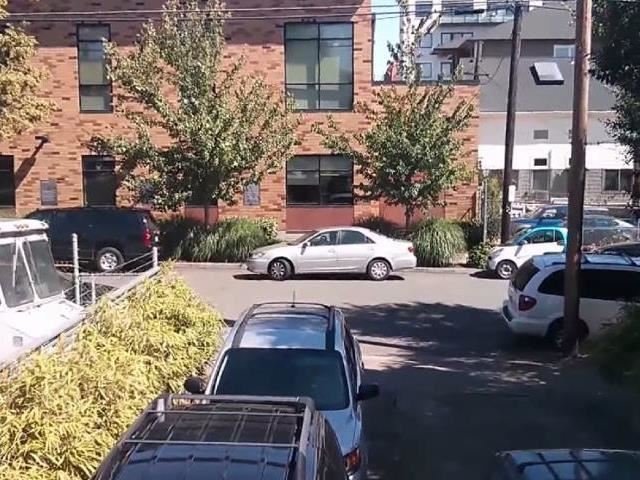 Is This the Worst Parallel Parking Attempt Ever?