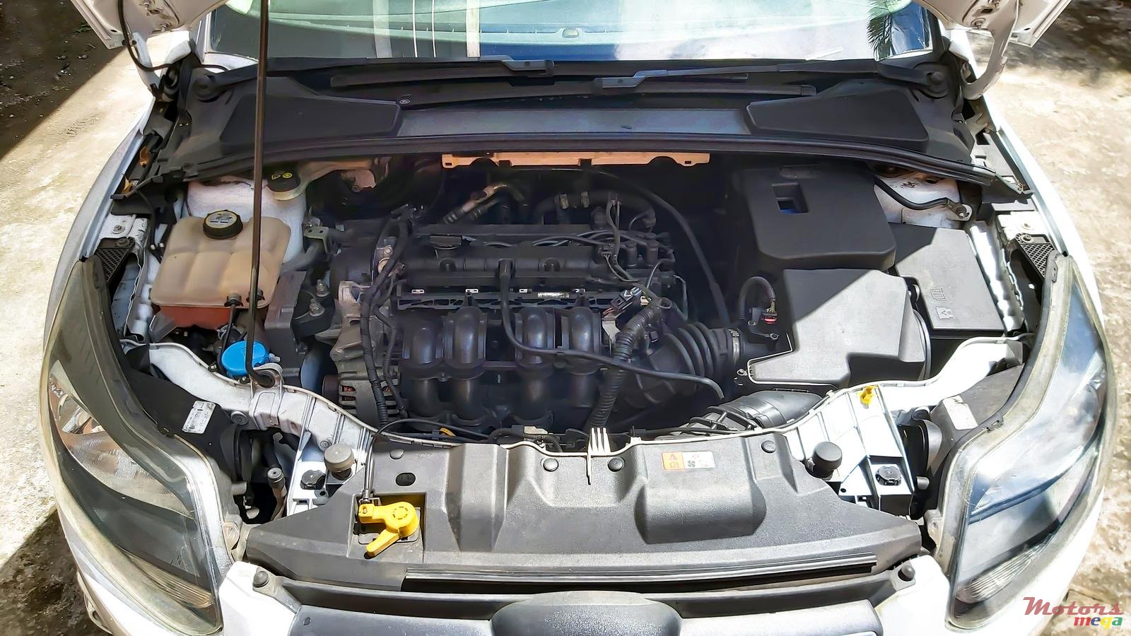 2013' Ford Focus photo #5