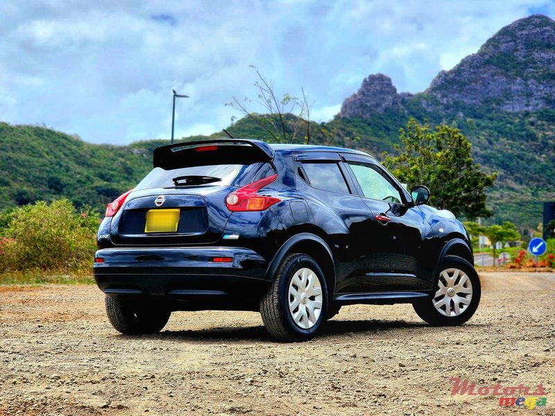 2013' Nissan Juke photo #4