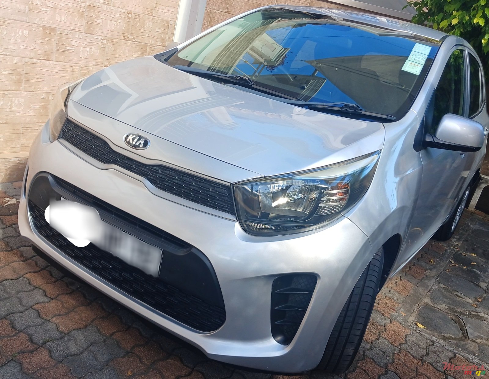 2019' Kia Picanto photo #2