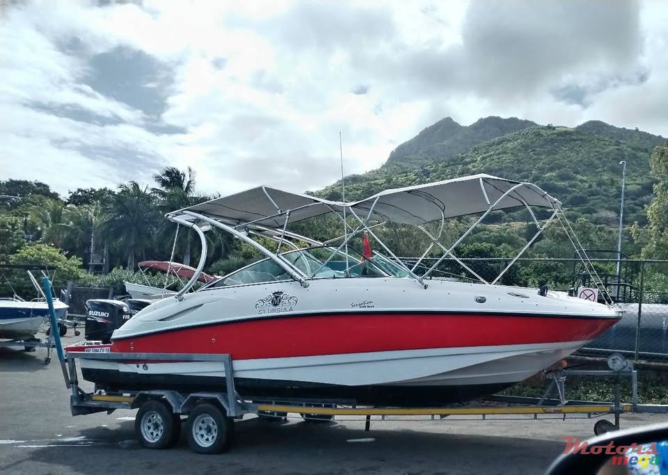 2014' Sunsation photo #1