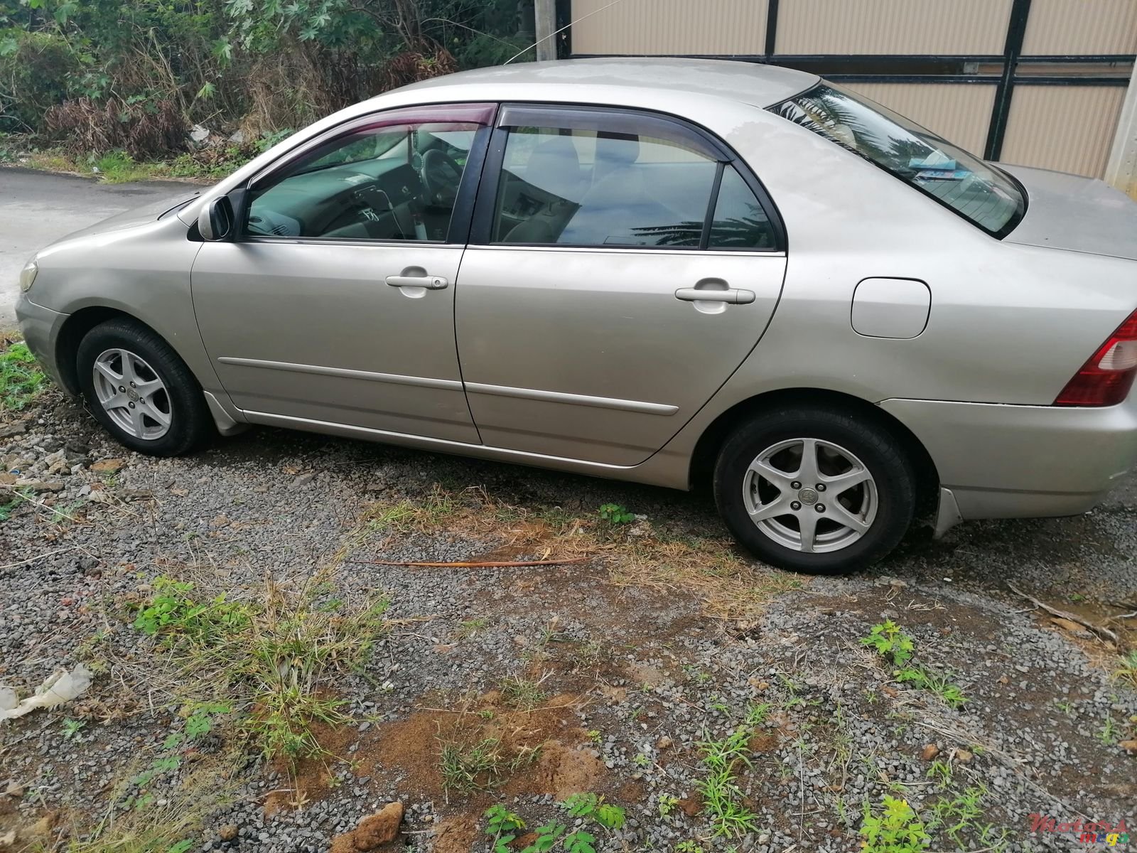 2001' Toyota Corolla photo #3
