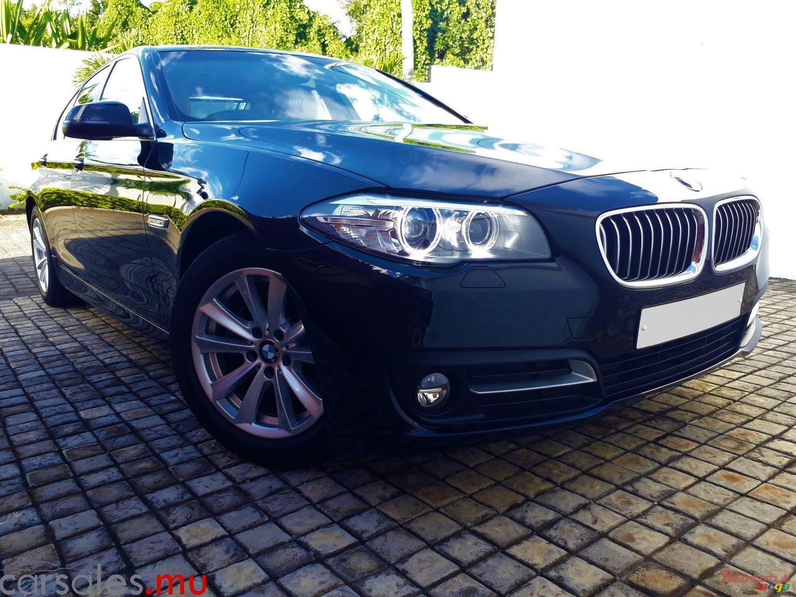 2015' BMW 520 Luxury Line photo #1