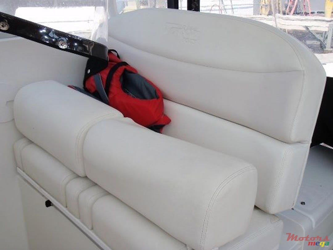 2009' Sea Triton 301XD photo #7