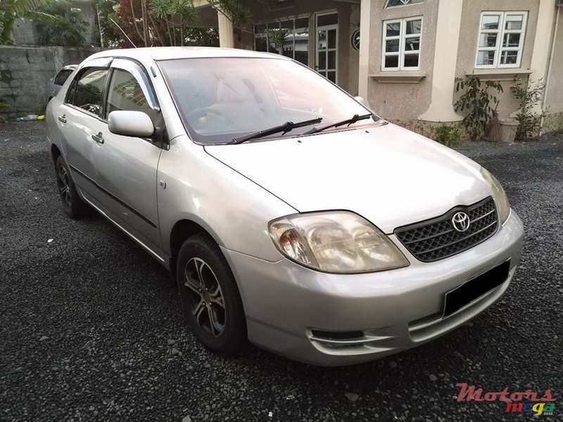 2004' Toyota Corolla NZE photo #1