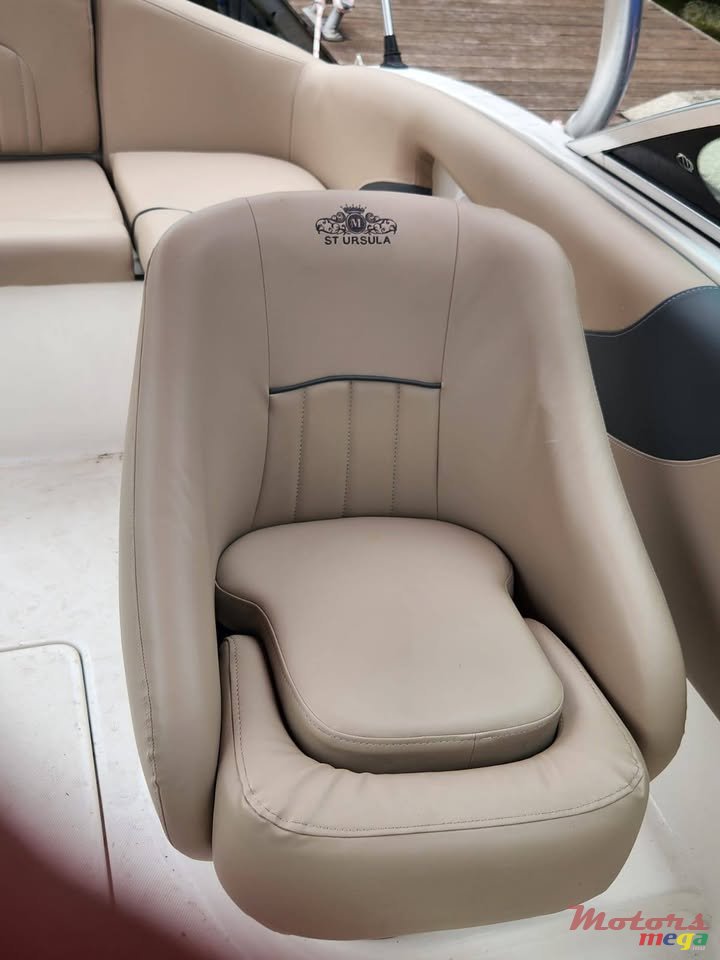 2014' Sunsation photo #3