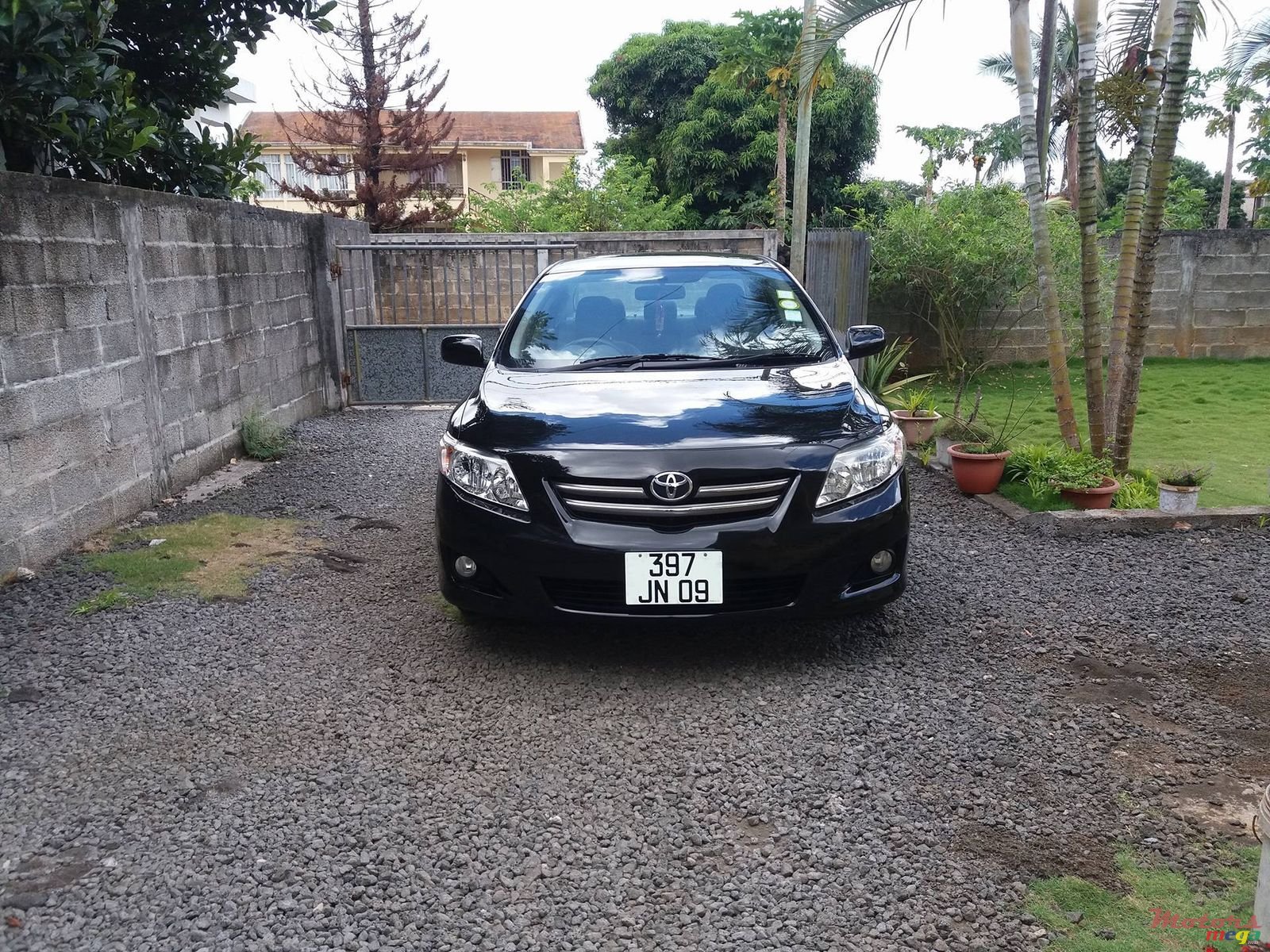 2009' Toyota Corolla photo #5