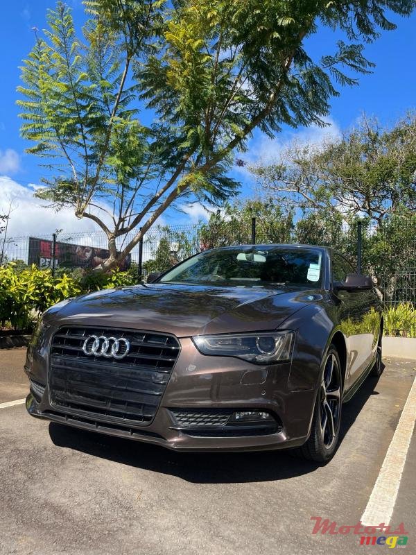 2013' Audi A5 photo #2