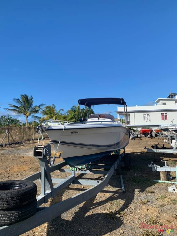 2010' Cobra photo #7