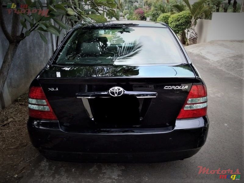 2002' Toyota Corolla photo #2