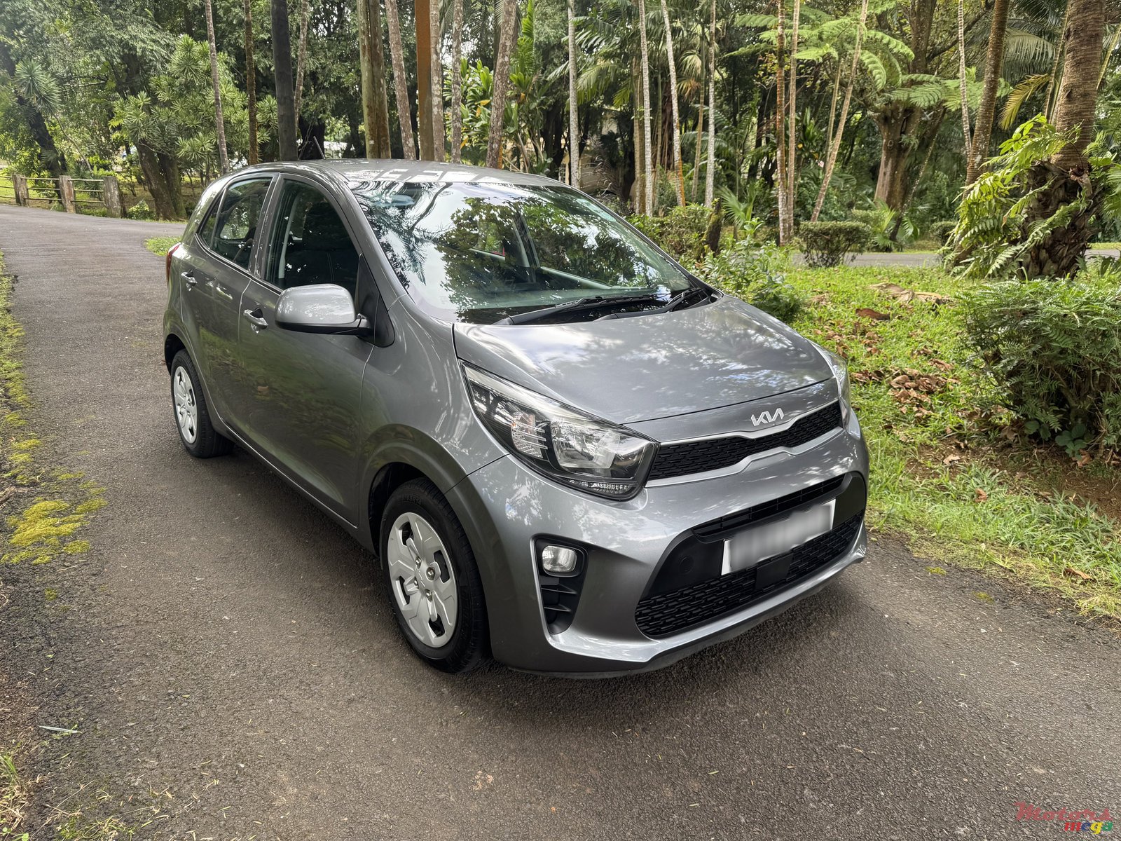 2023' Kia Picanto photo #1