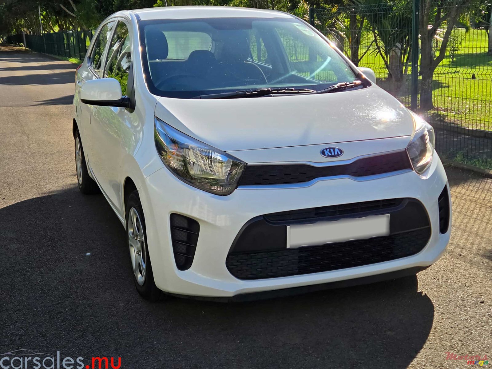 2019' Kia Picanto photo #3