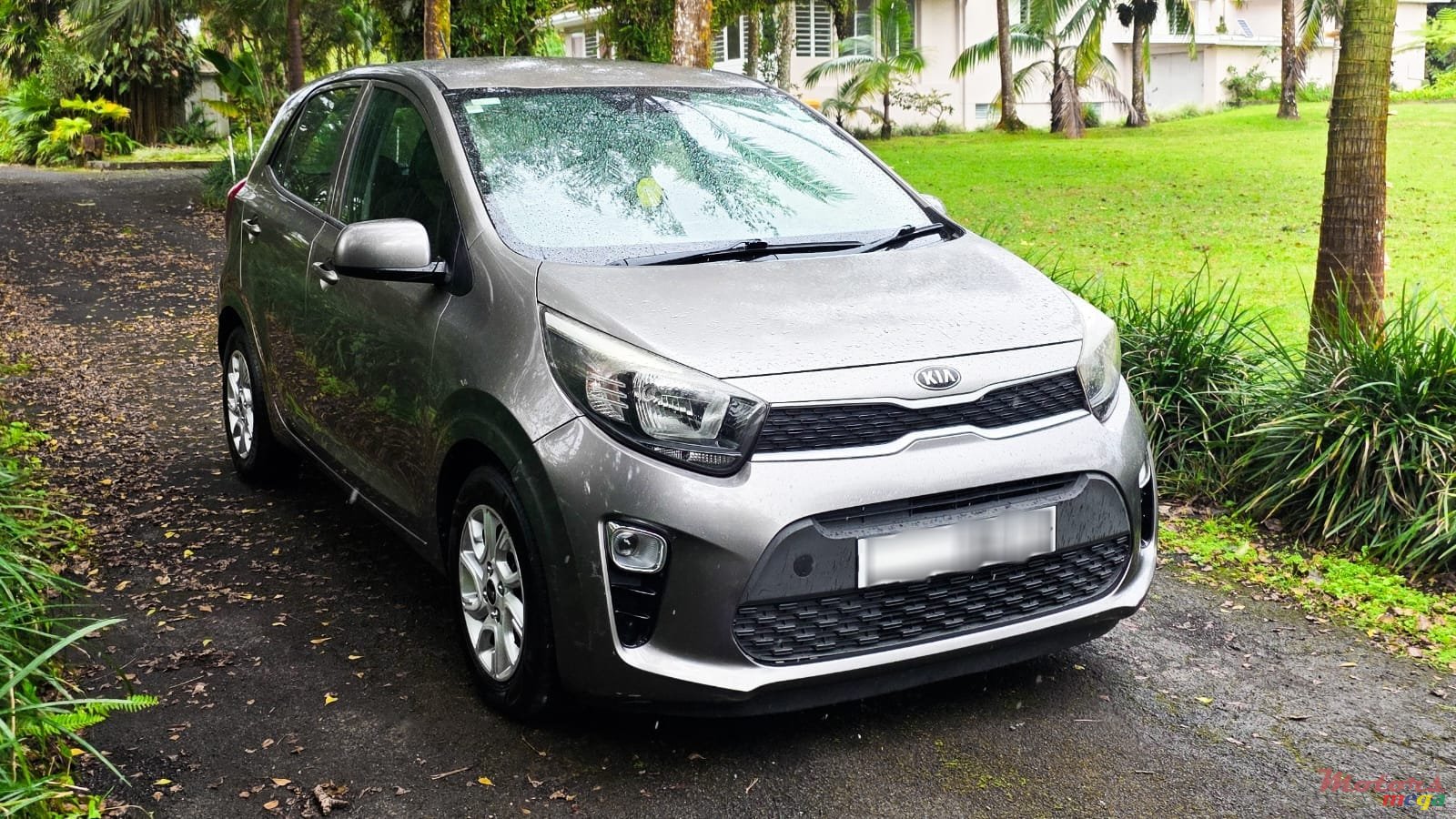 2017' Kia Picanto photo #1